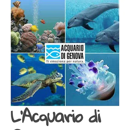 Ca' Barabino *